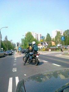 Pies na motocyklu