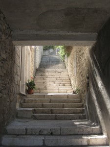 IMG_6103