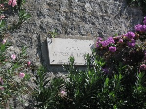 IMG_6128