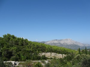 IMG_6172